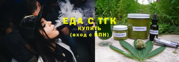 индика Аркадак