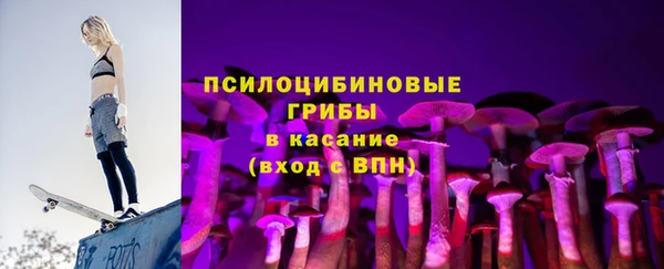 дживик Арсеньев