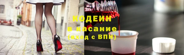 молекула духа Алексин