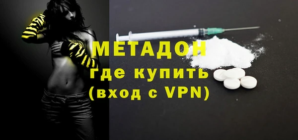 индика Аркадак