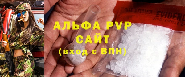 индика Аркадак